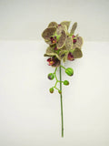 Supreme Phalaenopsis Stem Green-Burgundy 28" - Uncategorized Silk