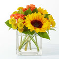 Picnic in the Park Bouquet – PANDA FLOWERS CANADA INC, Calgary AB