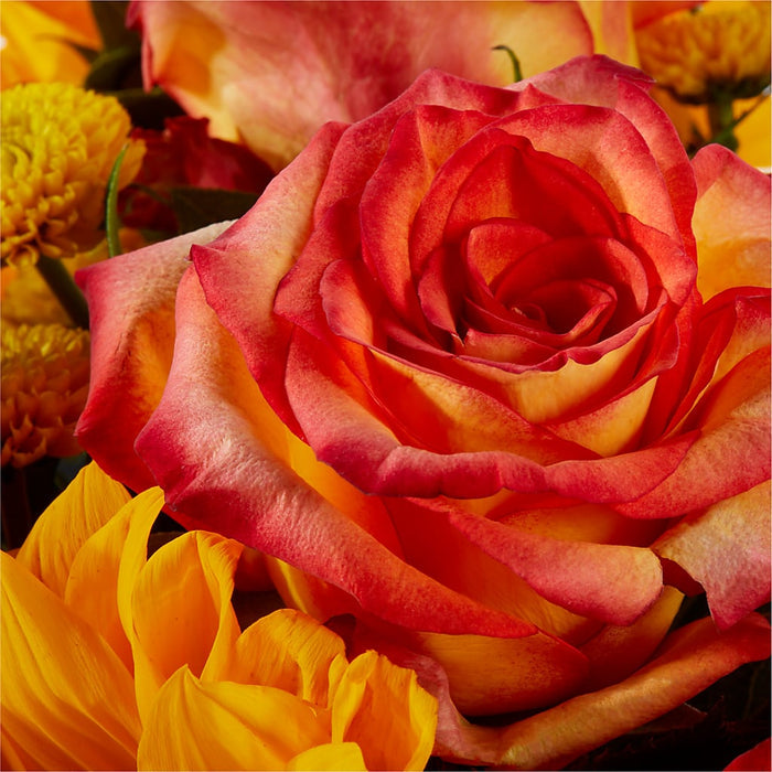 Picnic in the Park Bouquet – PANDA FLOWERS CANADA INC, Calgary AB