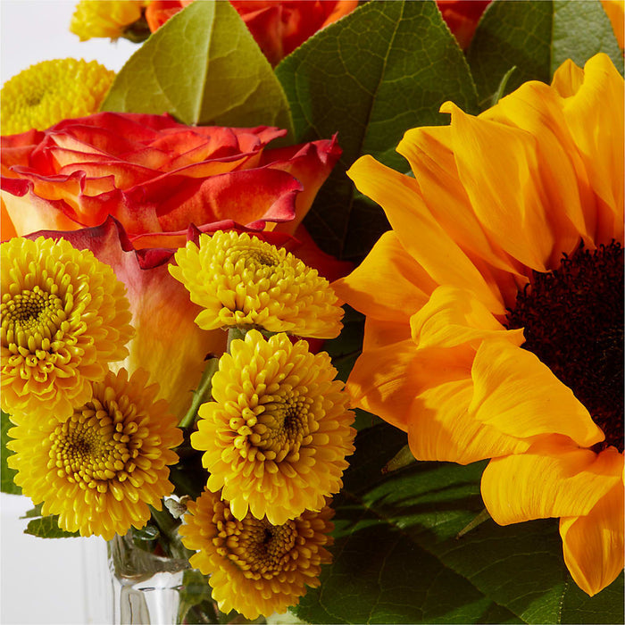 Picnic in the Park Bouquet – PANDA FLOWERS CANADA INC, Calgary AB