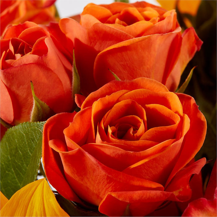 Picnic in the Park Bouquet – PANDA FLOWERS CANADA INC, Calgary AB