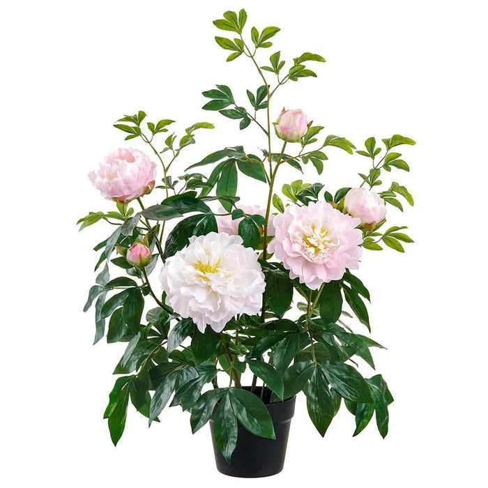 Allstate Pink Peony Plant in Plastic Pot 30" - Artificial Flowering Plants Silk