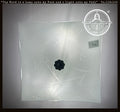 Quiet Harvest Etched Glass Ceiling Light *Note Chip* - The Lamp Goods