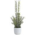 Allstate Rosemary in Cement Pot Green-Gray 17" - Artificial Non-Flowering Plants Silk