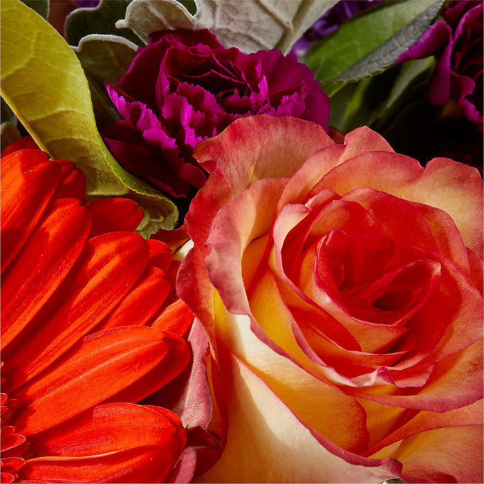 Sangria Bouquet – PANDA FLOWERS CANADA INC, Calgary AB