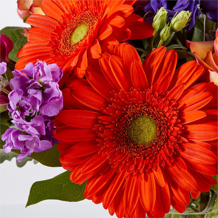Sangria Bouquet – PANDA FLOWERS CANADA INC, Calgary AB
