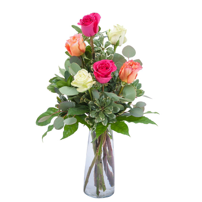 Six Assorted Roses – PANDA FLOWERS CANADA INC, Calgary AB