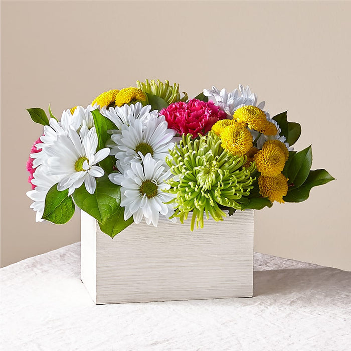 Sorbet Bouquet – PANDA FLOWERS CANADA INC, Calgary AB