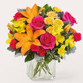 To the Tropics Bouquet – PANDA FLOWERS CANADA INC, Calgary AB