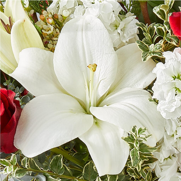 Twinkle Lights Bouquet – PANDA FLOWERS CANADA INC, Calgary AB