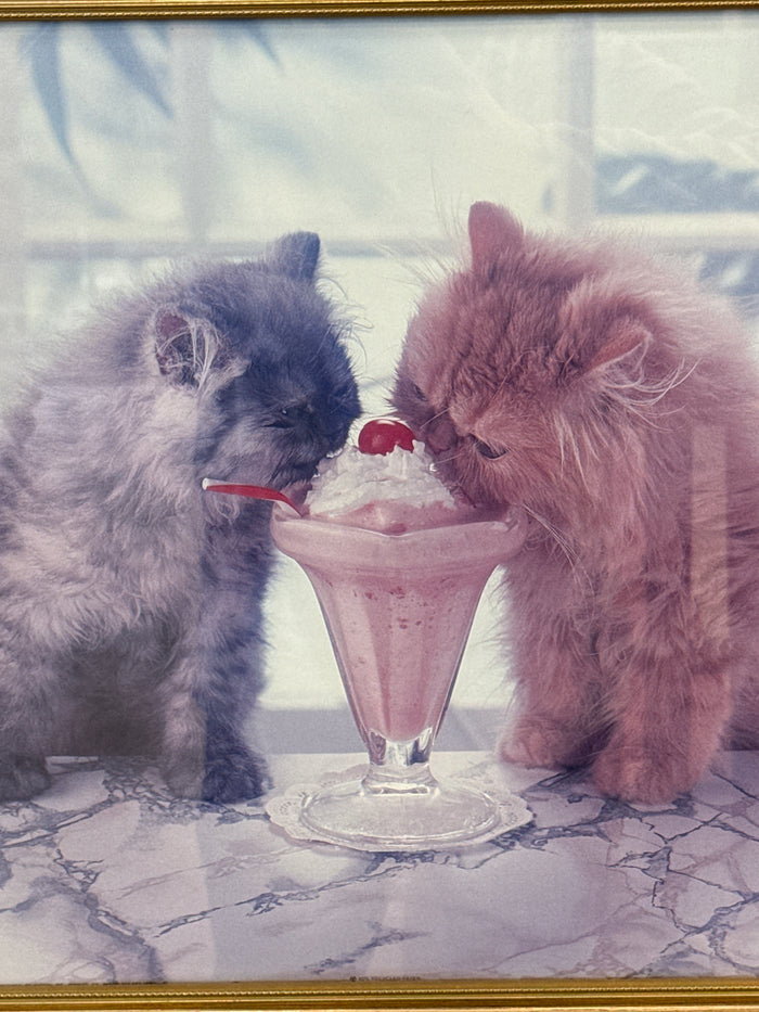 Two Kitties Milkshake Art