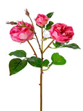 AmBest UV Cabbage Rose Spray Hot Pink 24" - Artificial Flowering Plants Silk