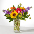Vibrant Greetings Bouquet – PANDA FLOWERS CANADA INC, Calgary AB