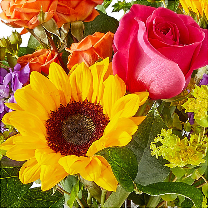 Vibrant Greetings Bouquet – PANDA FLOWERS CANADA INC, Calgary AB