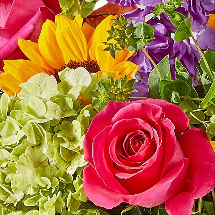 Vibrant Greetings Bouquet – PANDA FLOWERS CANADA INC, Calgary AB