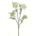 Wild Dill Spray White 33" - Evergreen Home and Floral